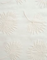 lace 58257001 P